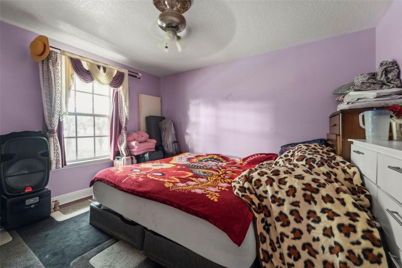 7419 Savannah Lane, Tampa, FL 33637 Photo