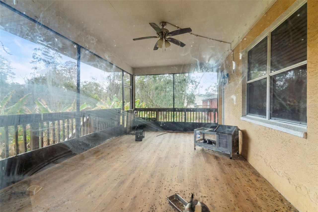 7419 Savannah Lane, Tampa, FL 33637 Photo