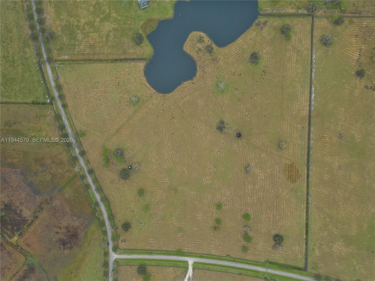 25750 SW Jockeys Run, Okeechobee, FL 34974 Photo