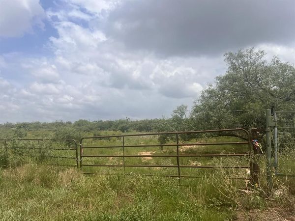 TBD FM-1770, Winters, TX 79567