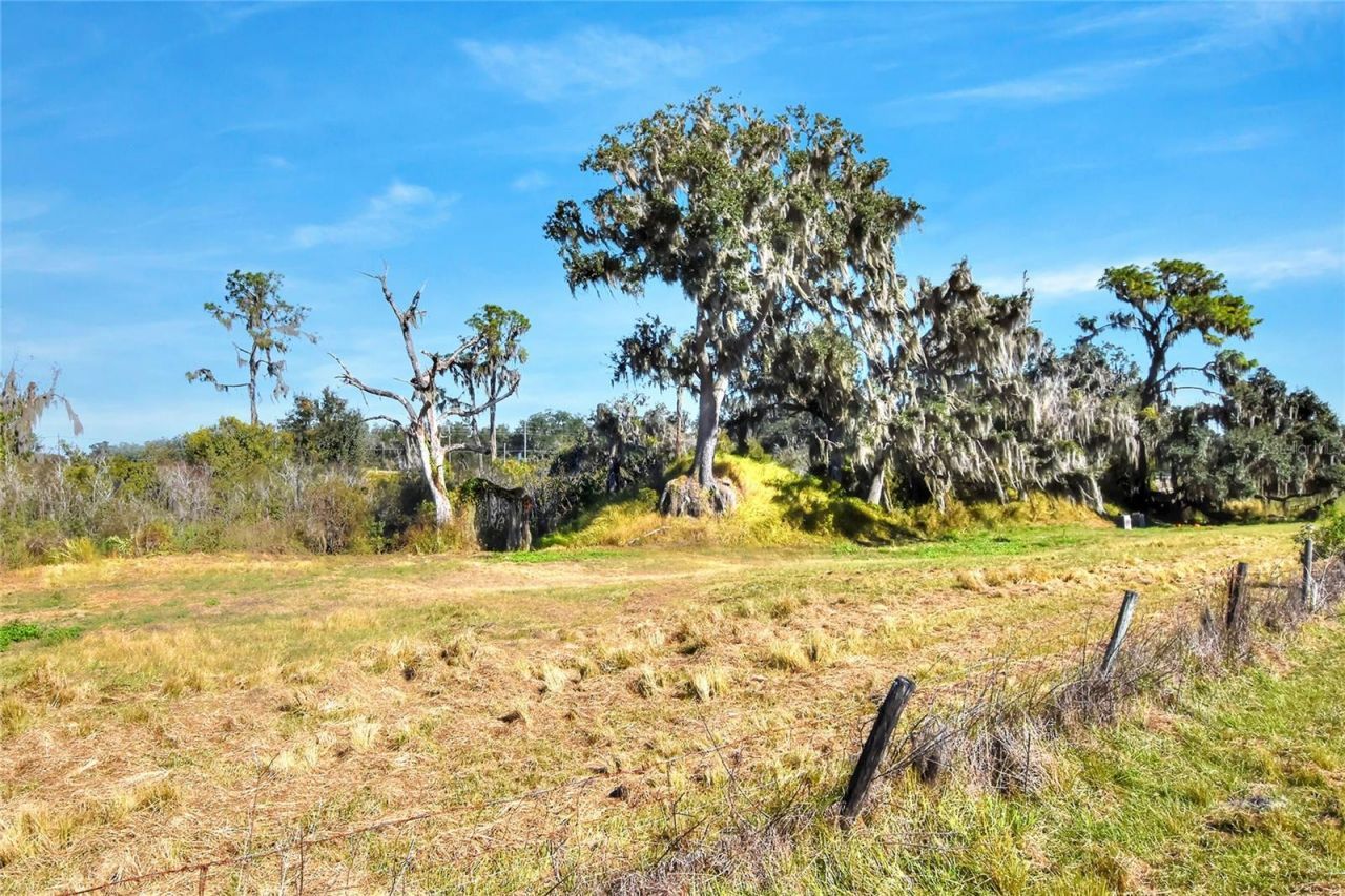 1505 W 60 Highway, Plant City, FL 33567 Photo