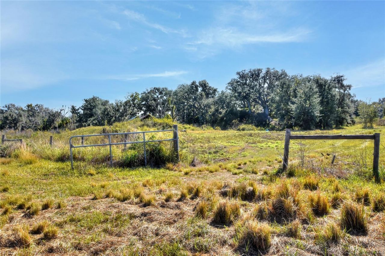 1505 W 60 Highway, Plant City, FL 33567 Photo