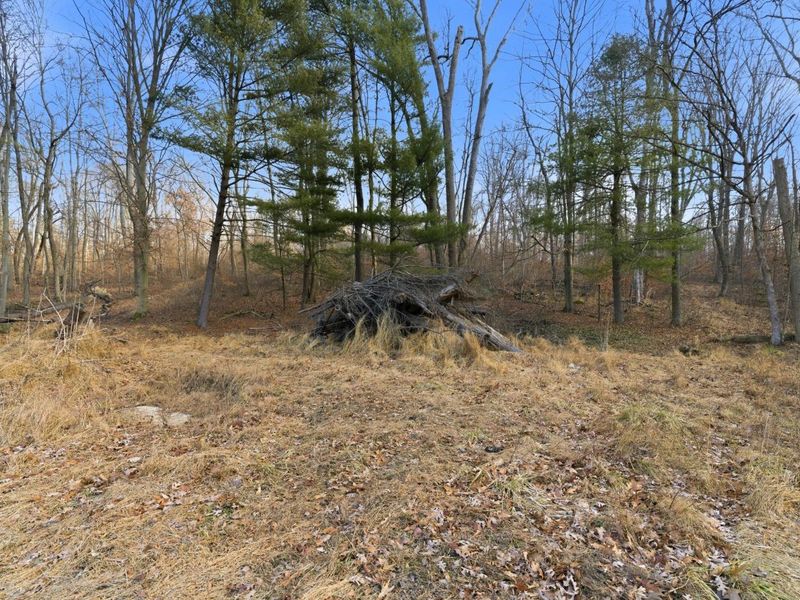 7035 Pleasant Chapel Road, Newark, OH 43056 Photo 10