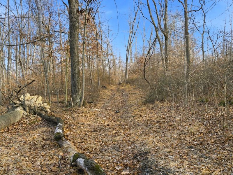 7035 Pleasant Chapel Road, Newark, OH 43056 Photo 13