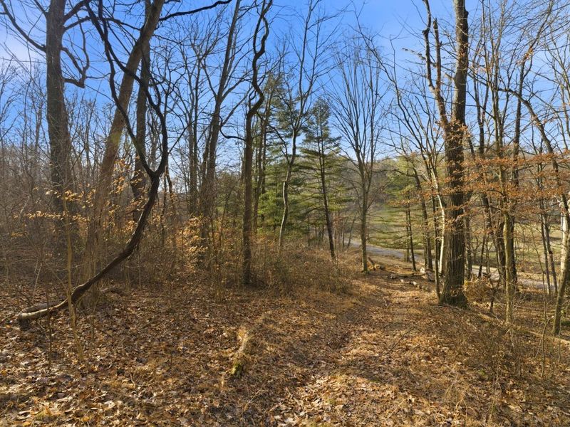 7035 Pleasant Chapel Road, Newark, OH 43056 Photo 15