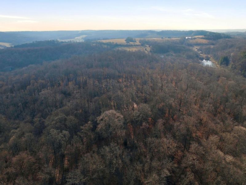 7035 Pleasant Chapel Road, Newark, OH 43056 Photo 6