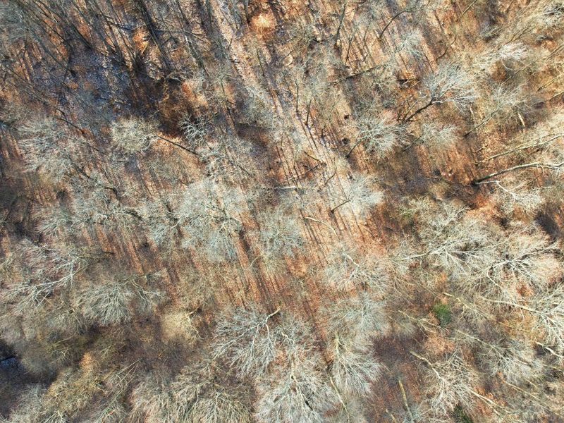 7035 Pleasant Chapel Road, Newark, OH 43056 Photo 7