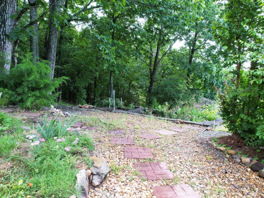 Property Image 49