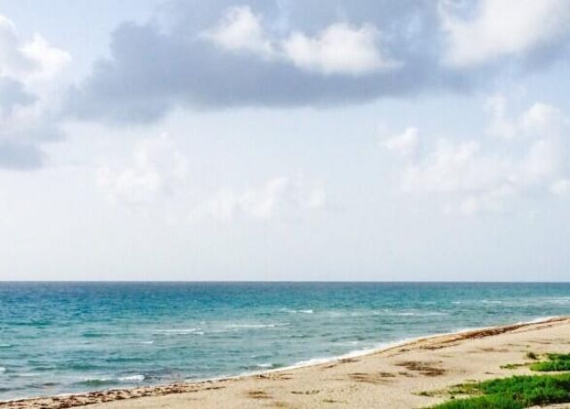 100 Doolen Court, Unit 313, North Palm Beach, FL 33408 Photo