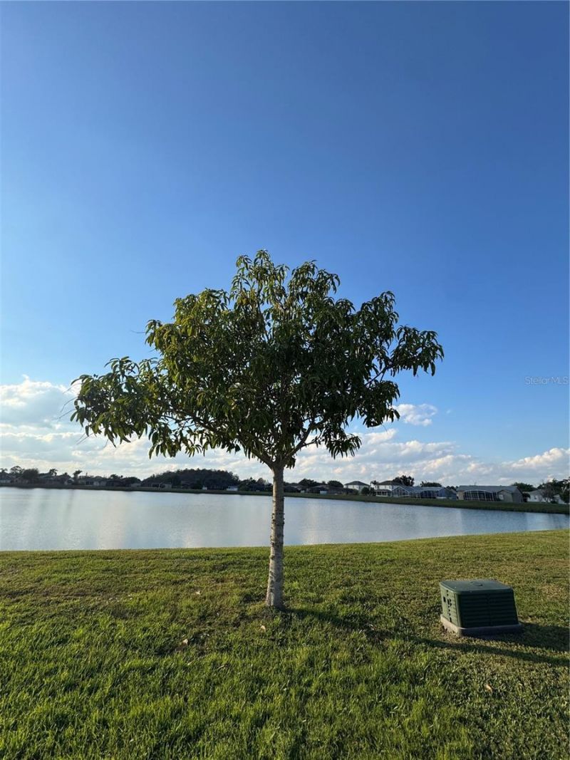 2652 Hawthorne Lane, Kissimmee, FL 34743 Photo