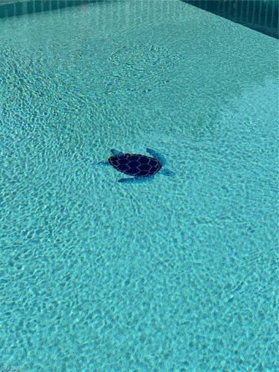 3001 W Gulf Dr, Unit 2, Sanibel, FL 33957 Photo