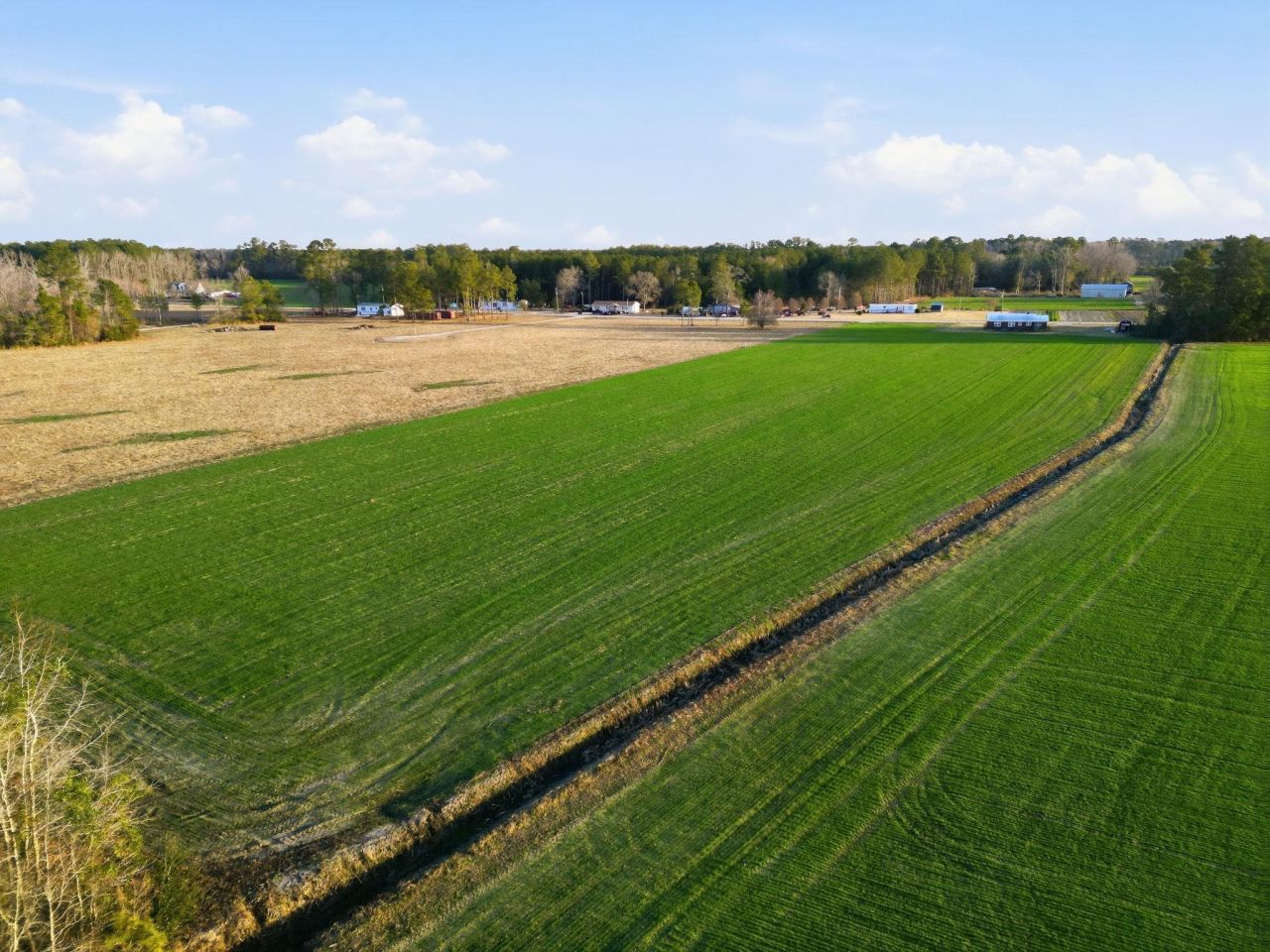 Tract 2 Fries Bay Rd. Photo 6