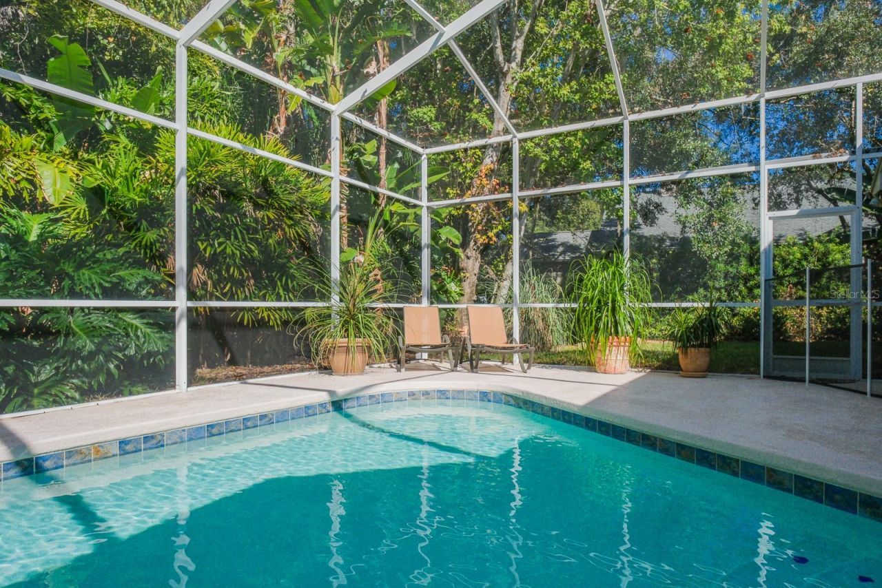 110 Deerpath Drive, Oldsmar, FL 34677 Photo