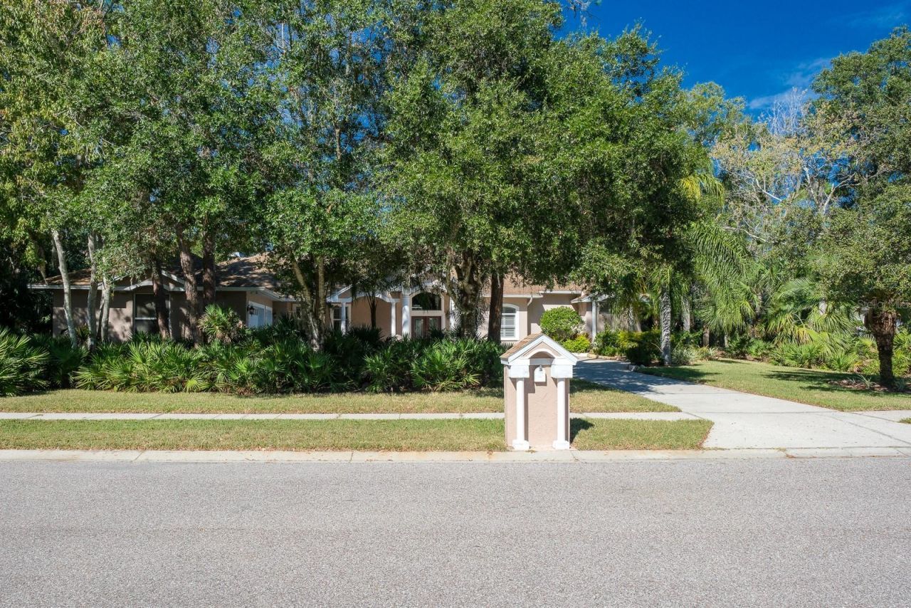 110 Deerpath Drive, Oldsmar, FL 34677 Photo