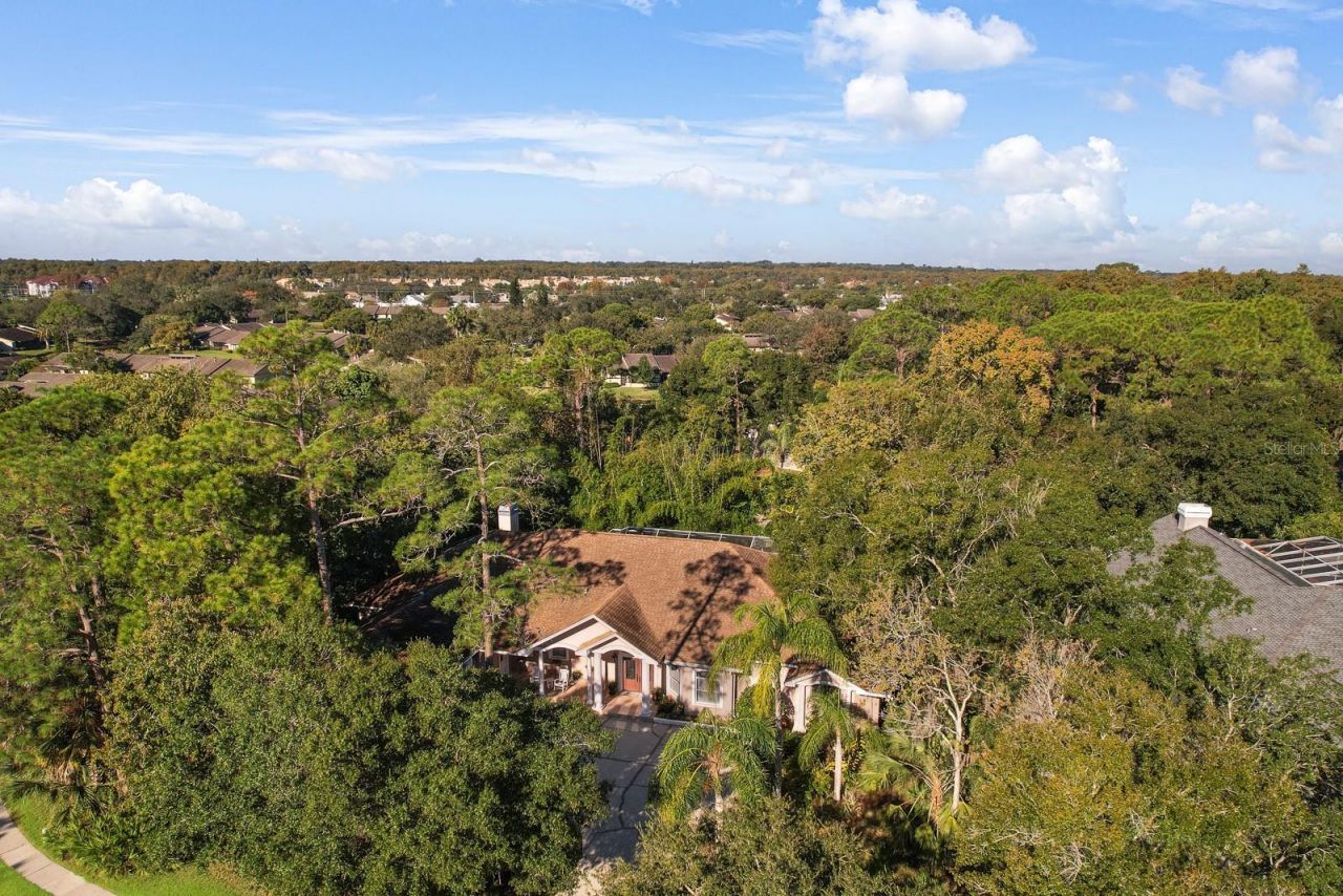 110 Deerpath Drive, Oldsmar, FL 34677 Photo