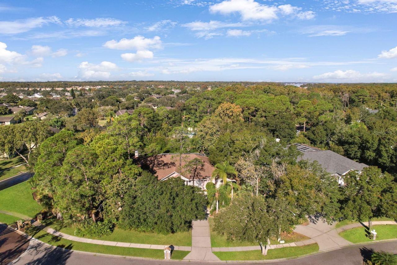 110 Deerpath Drive, Oldsmar, FL 34677 Photo