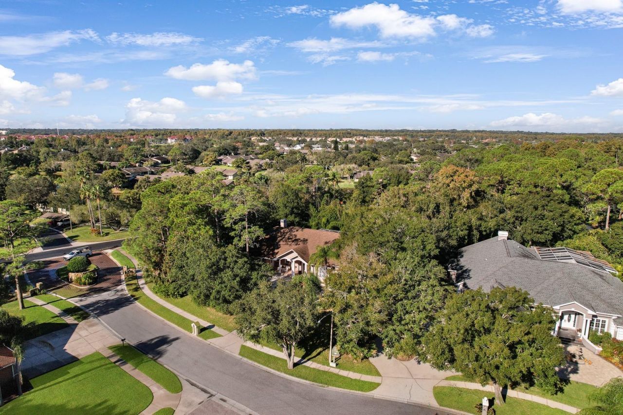 110 Deerpath Drive, Oldsmar, FL 34677 Photo