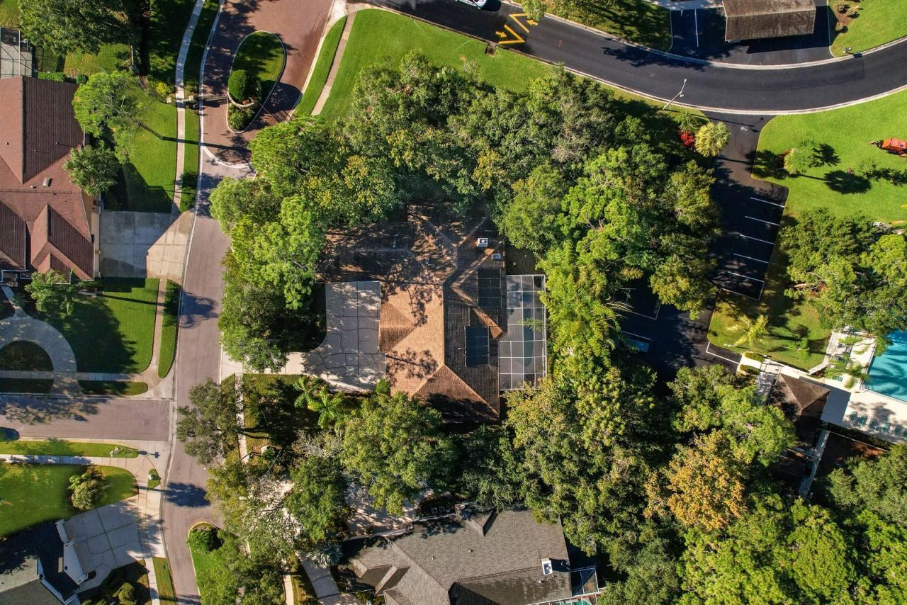 110 Deerpath Drive, Oldsmar, FL 34677 Photo