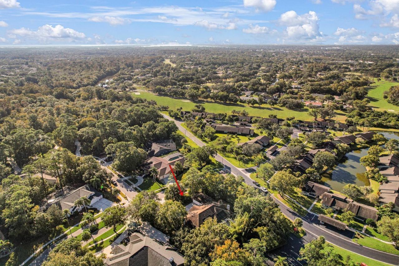 110 Deerpath Drive, Oldsmar, FL 34677 Photo