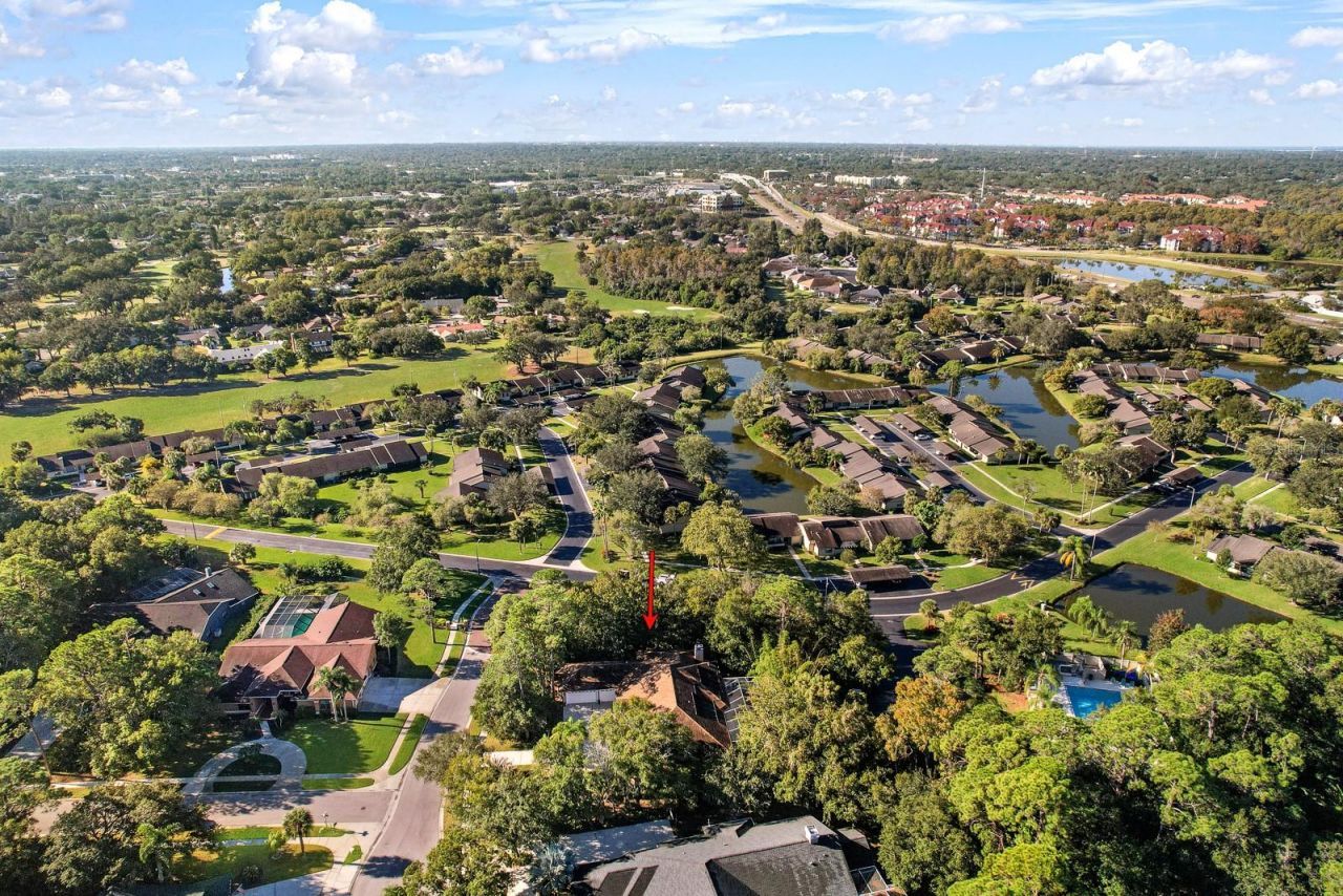 110 Deerpath Drive, Oldsmar, FL 34677 Photo