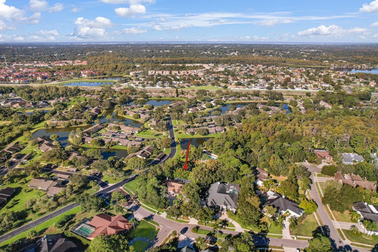 110 Deerpath Drive, Oldsmar, FL 34677 Photo