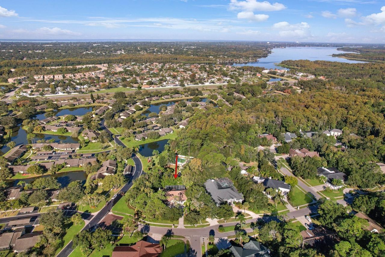 110 Deerpath Drive, Oldsmar, FL 34677 Photo