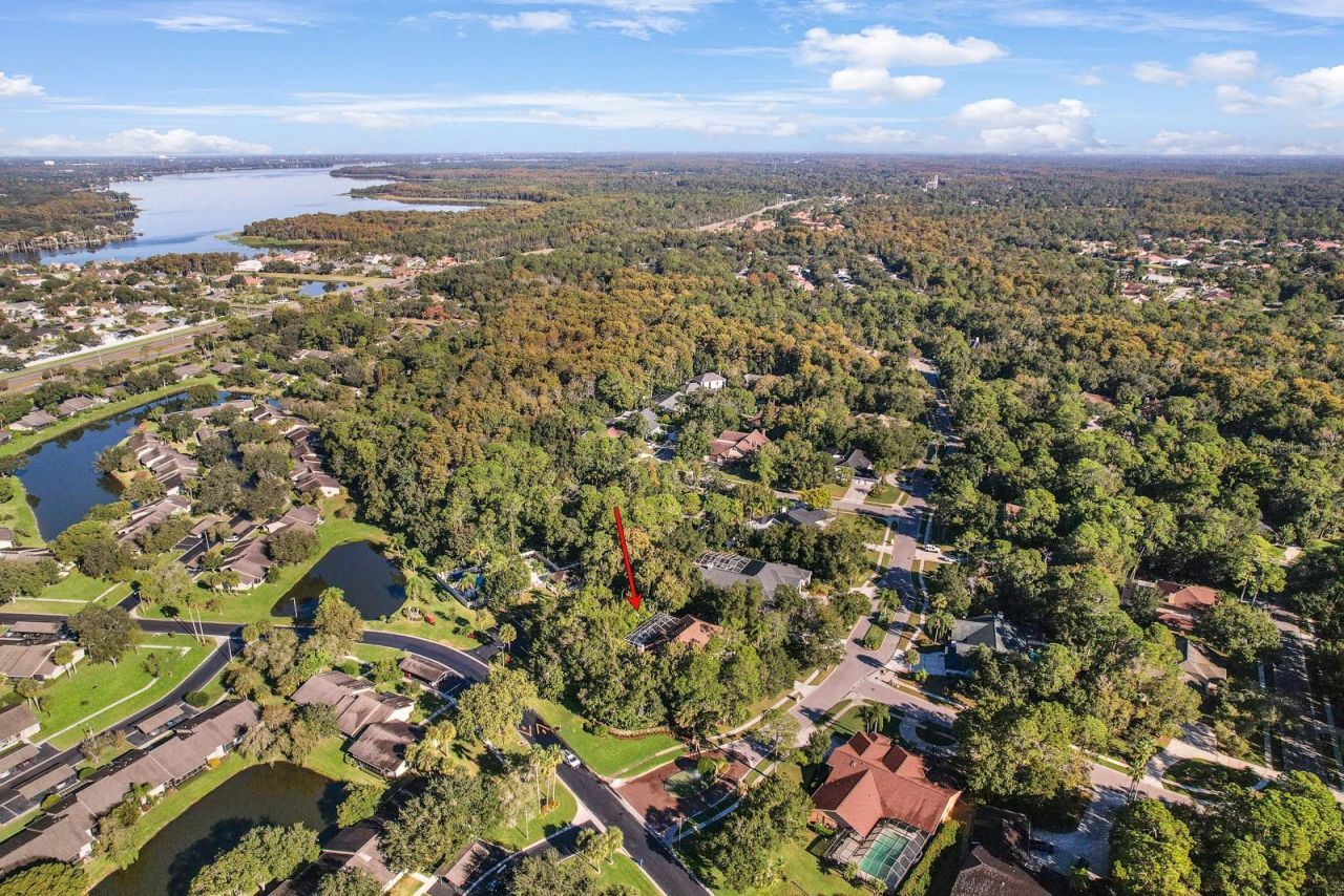 110 Deerpath Drive, Oldsmar, FL 34677 Photo