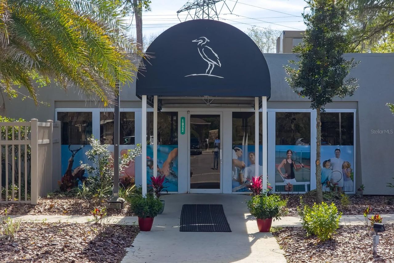 110 Deerpath Drive, Oldsmar, FL 34677 Photo