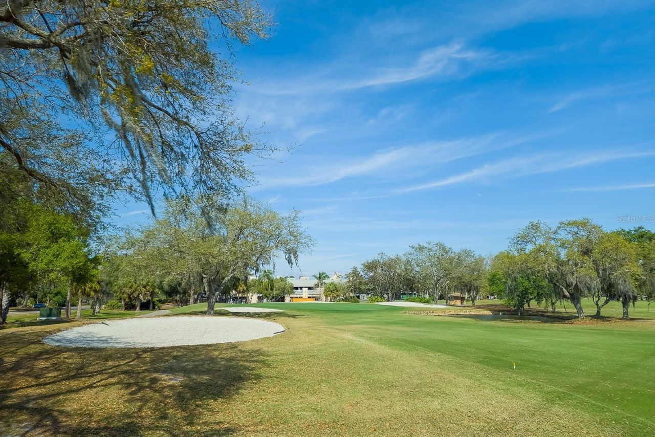 110 Deerpath Drive, Oldsmar, FL 34677 Photo