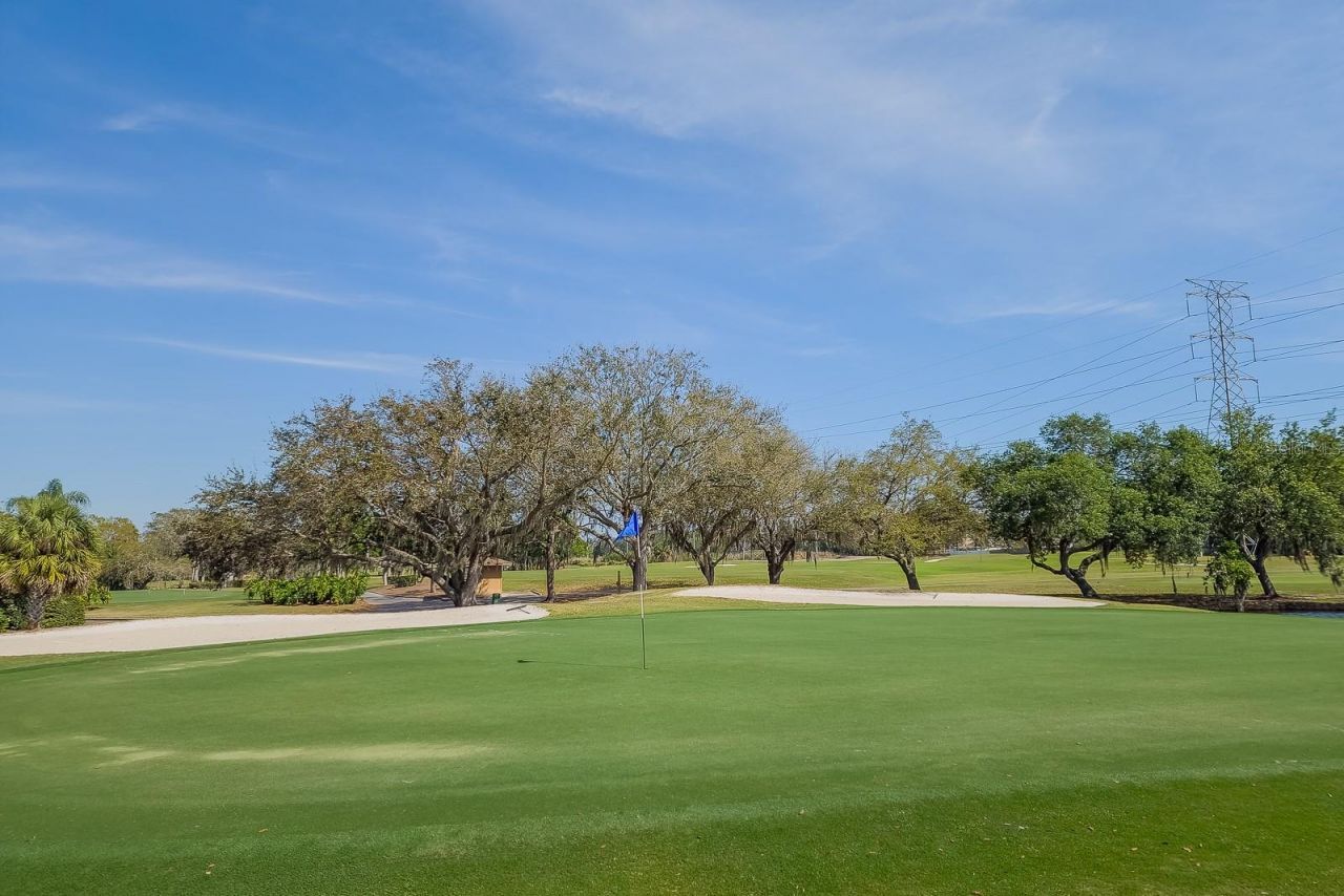 110 Deerpath Drive, Oldsmar, FL 34677 Photo