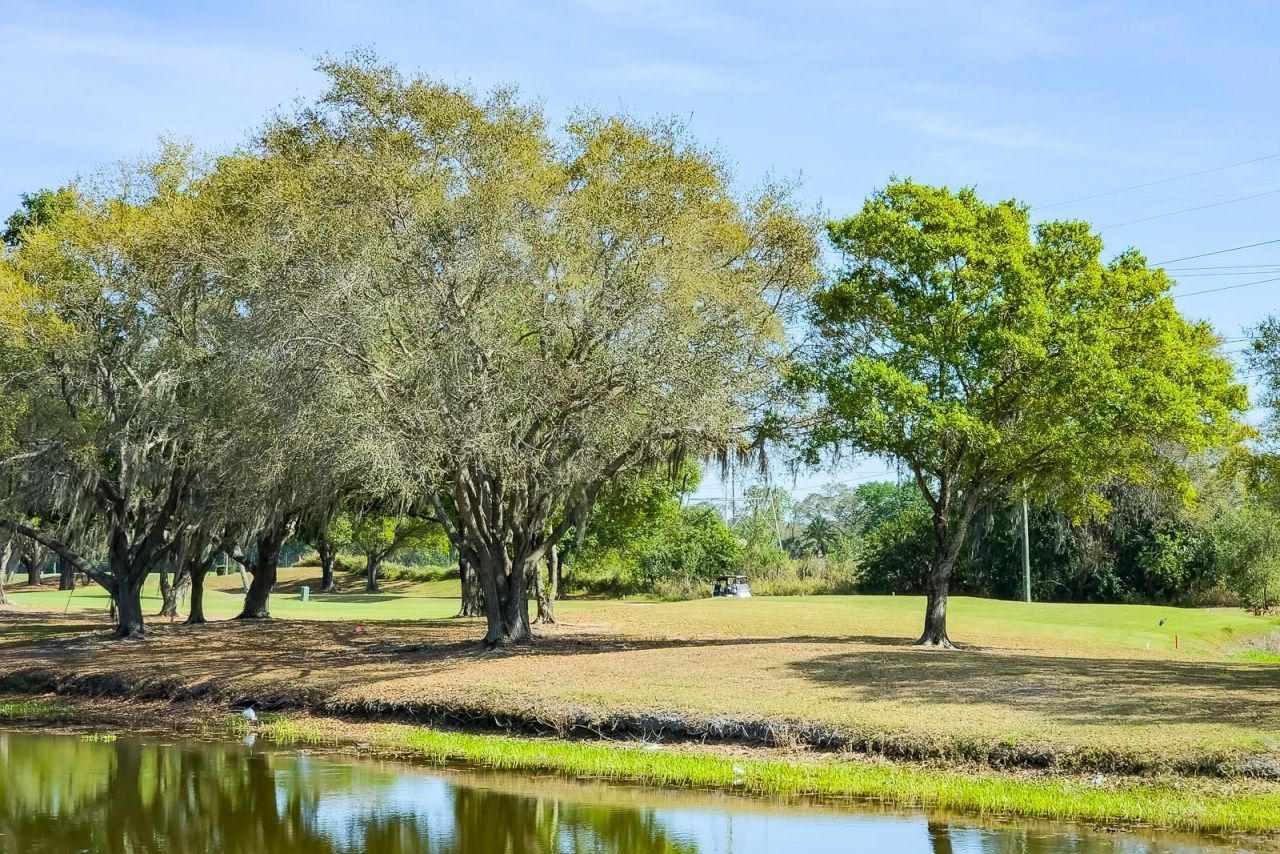 110 Deerpath Drive, Oldsmar, FL 34677 Photo