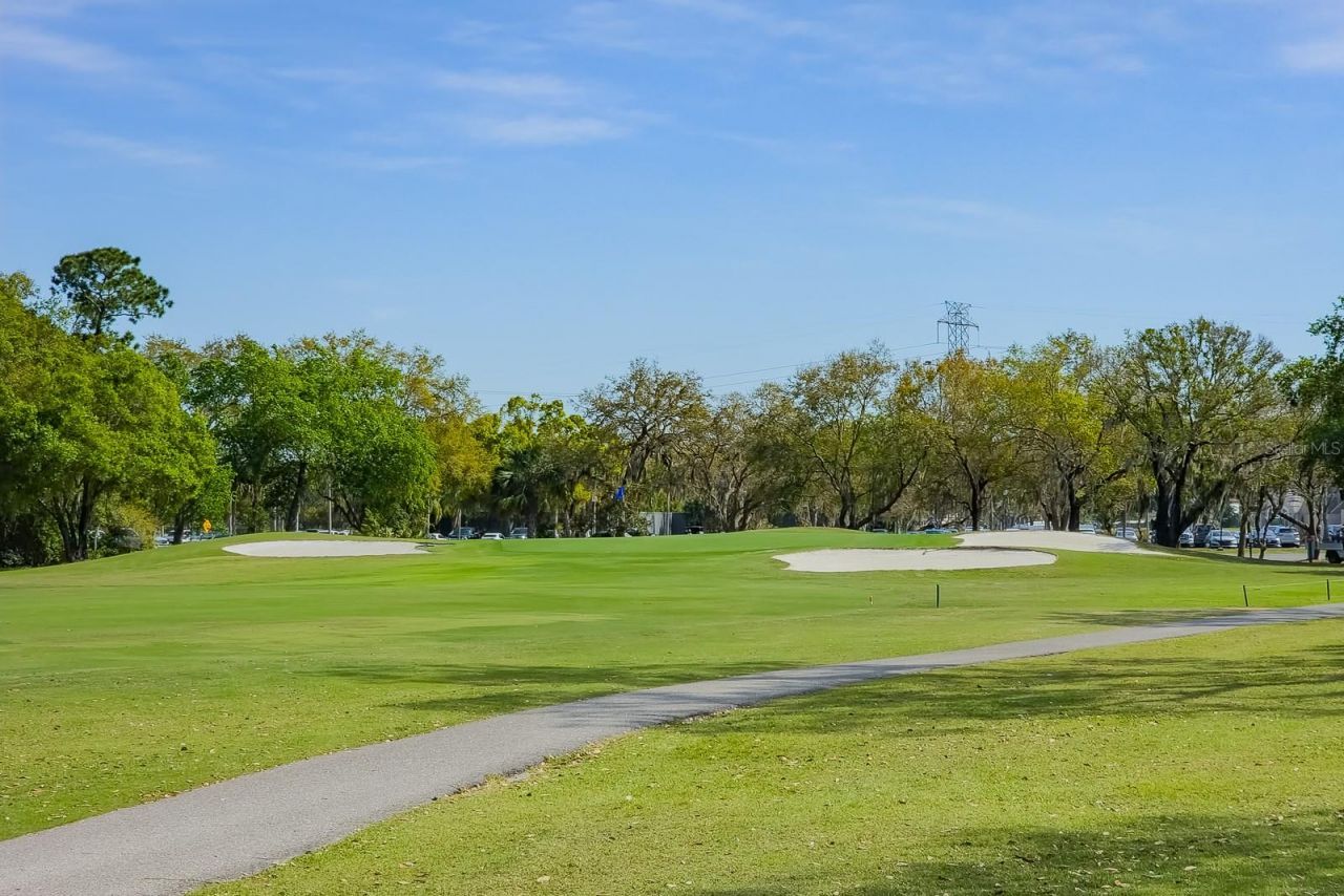 110 Deerpath Drive, Oldsmar, FL 34677 Photo