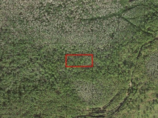 0 HOLOPAW GROVES RD, St. Cloud, FL 34772