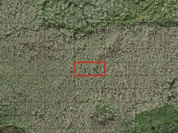 0 HOLOPAW GROVES RD, St. Cloud, FL 34772