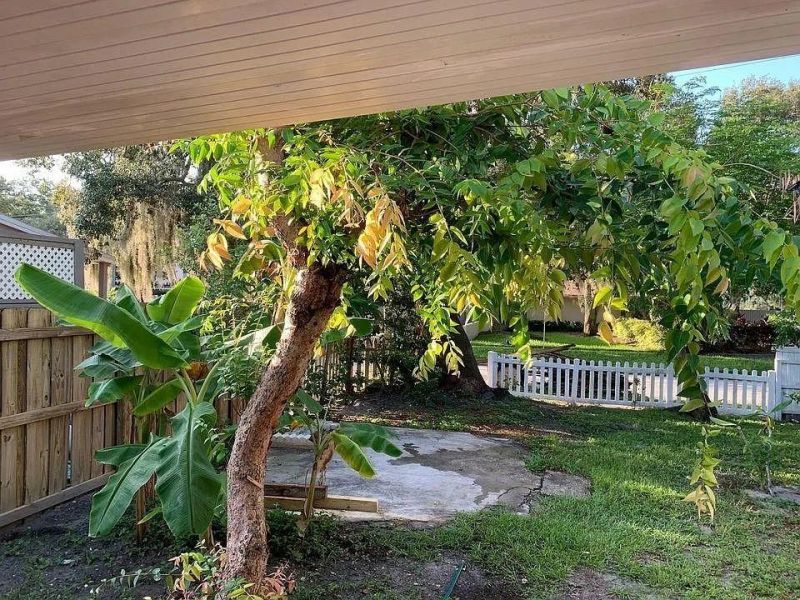 1005 16th Street N, Saint Petersburg, FL 33705 Photo