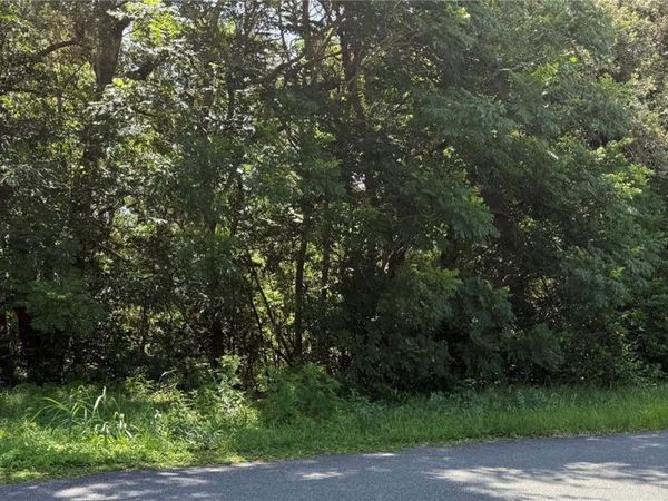 HUTCHINSON WAY, LADY LAKE, FL 32159