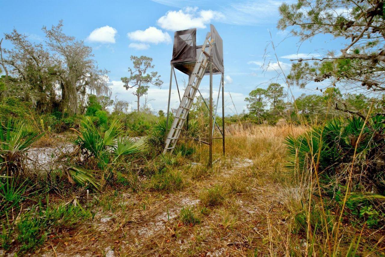 194 Leisure Lane, Venus, FL 33960 Photo