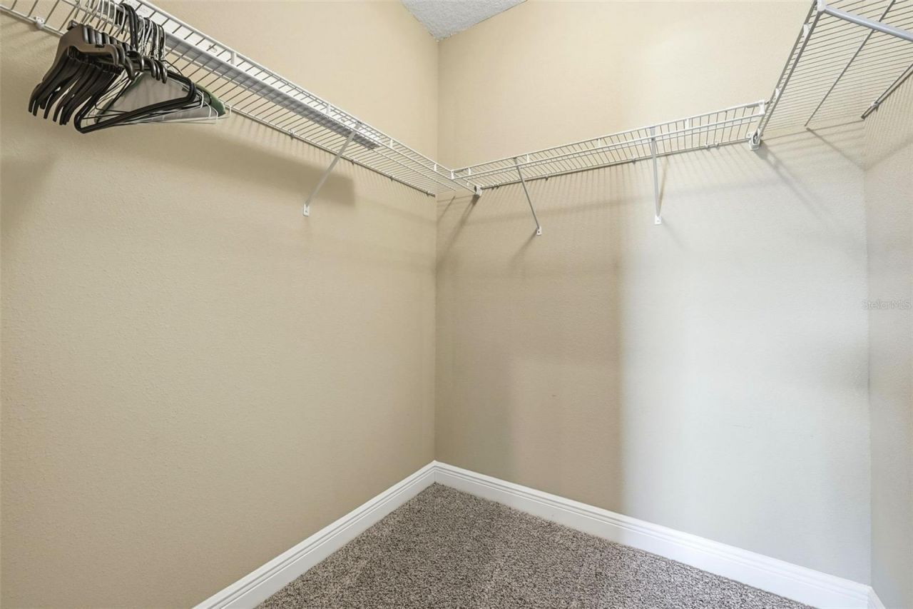 17117 Cypress Preserve Parkway, Orlando, FL 32820 Photo