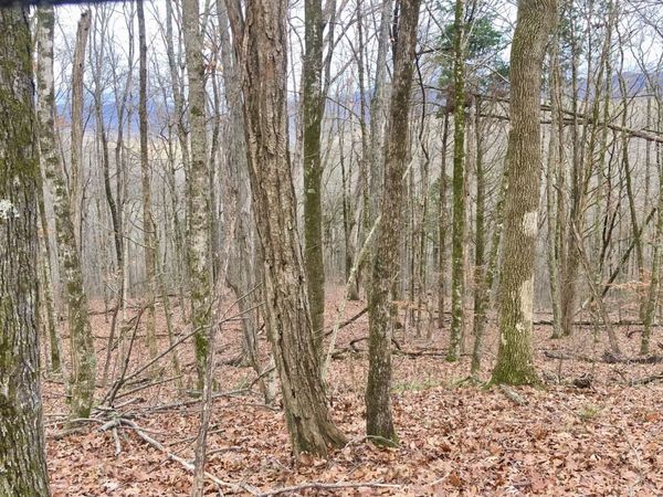 0 Monterey Hwy , Monterey, TN 38574