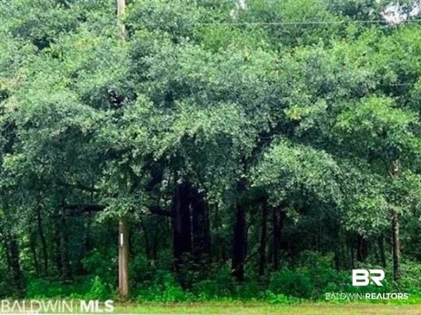 0 S Section Street, Fairhope, AL 36532