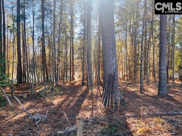 0 Break Water Drive  Photo 10