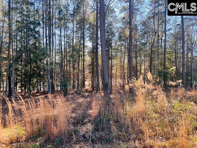 0 Break Water Drive  Photo 11