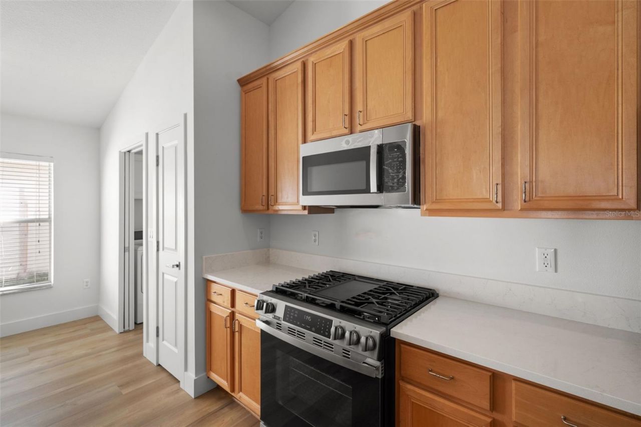 24425 Summer Wind Court, Lutz, FL 33559 Photo