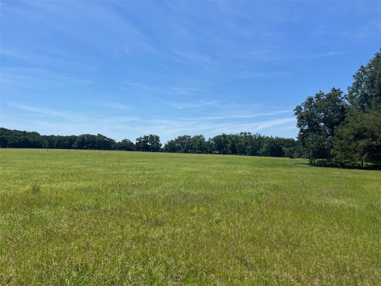 00 NW 165th Avenue, High Springs, FL 32643 Photo