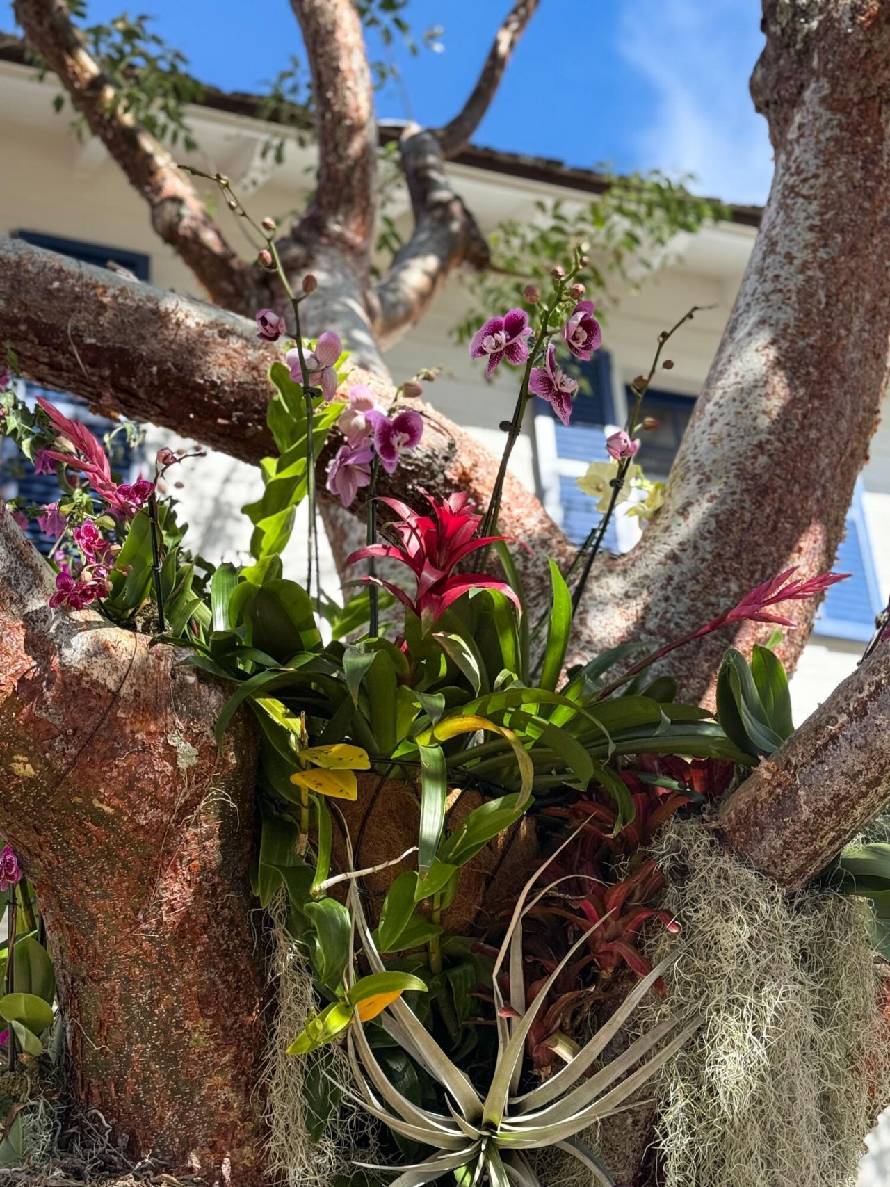 101 Palmetto Lane, West Palm Beach, FL 33405 Photo