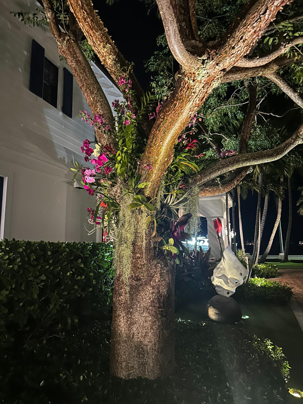 101 Palmetto Lane, West Palm Beach, FL 33405 Photo