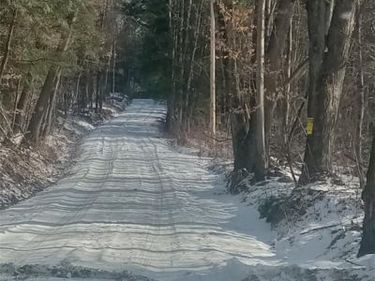 Burdick Hill Road, Otego, NY 13825