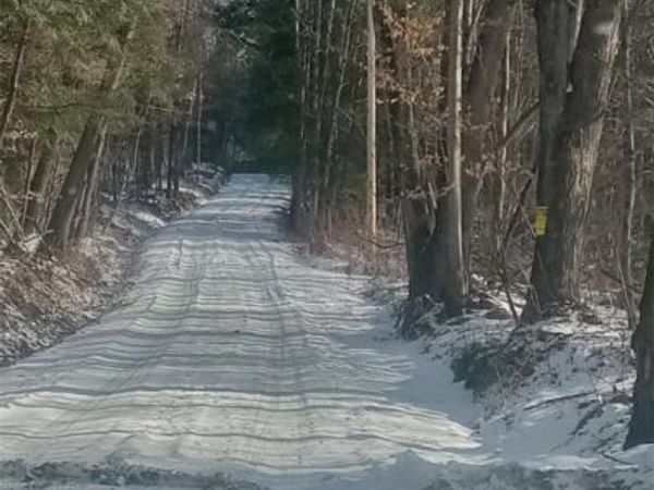 Burdick Hill Road, Otego, NY 13825