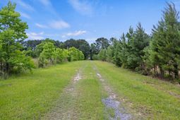 191 Marion Woods Trail photo 4