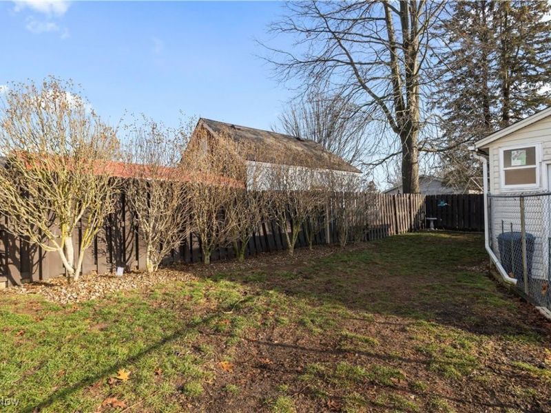 439 Larkin Avenue, Akron, OH 44305 Photo 8